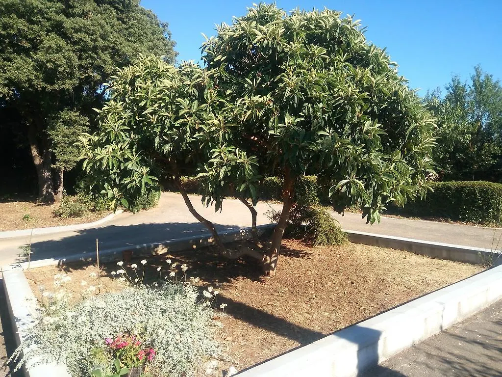Apartment Lidija Πούλα 0*,  Κροατία