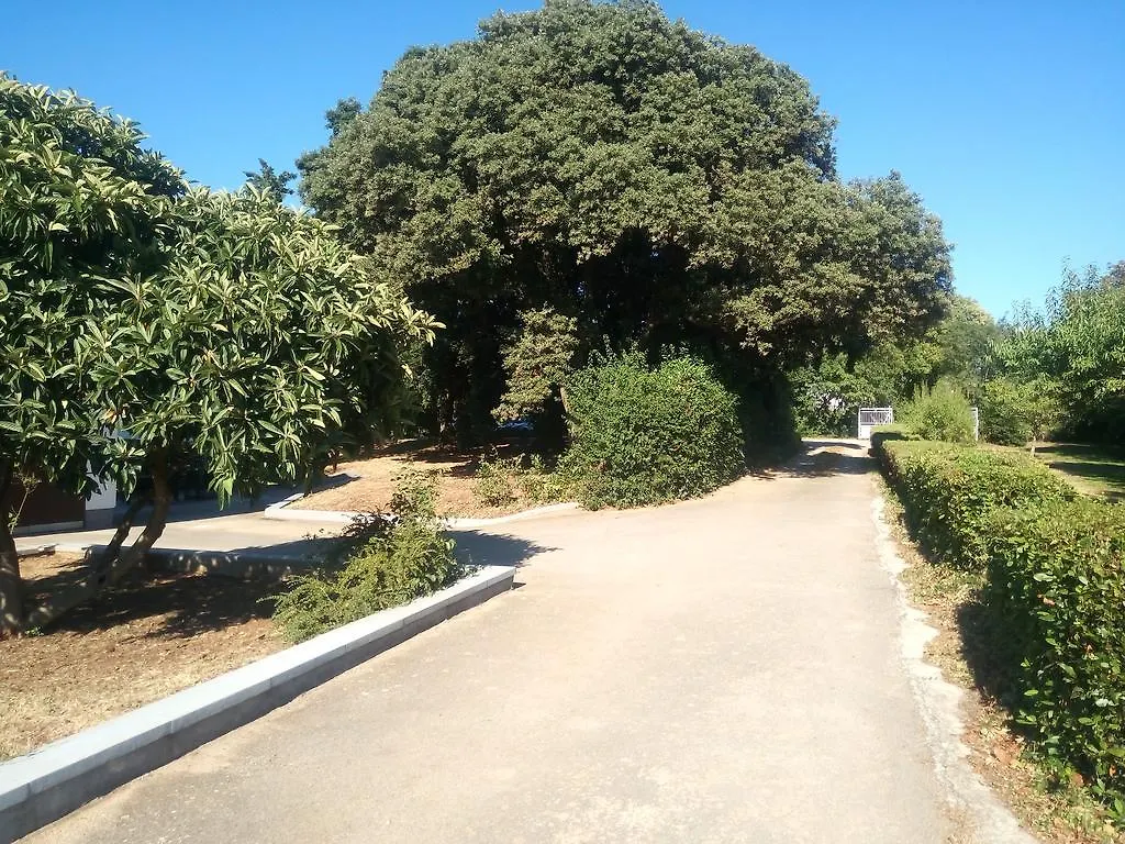 Apartment Lidija Πούλα